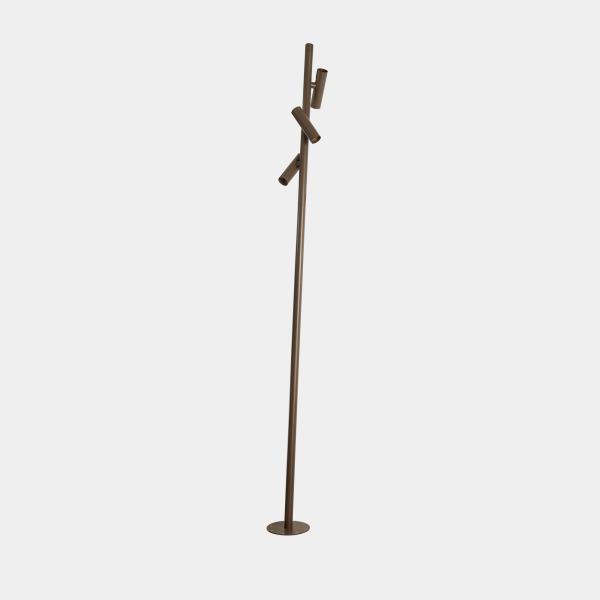 LX Juncus L
